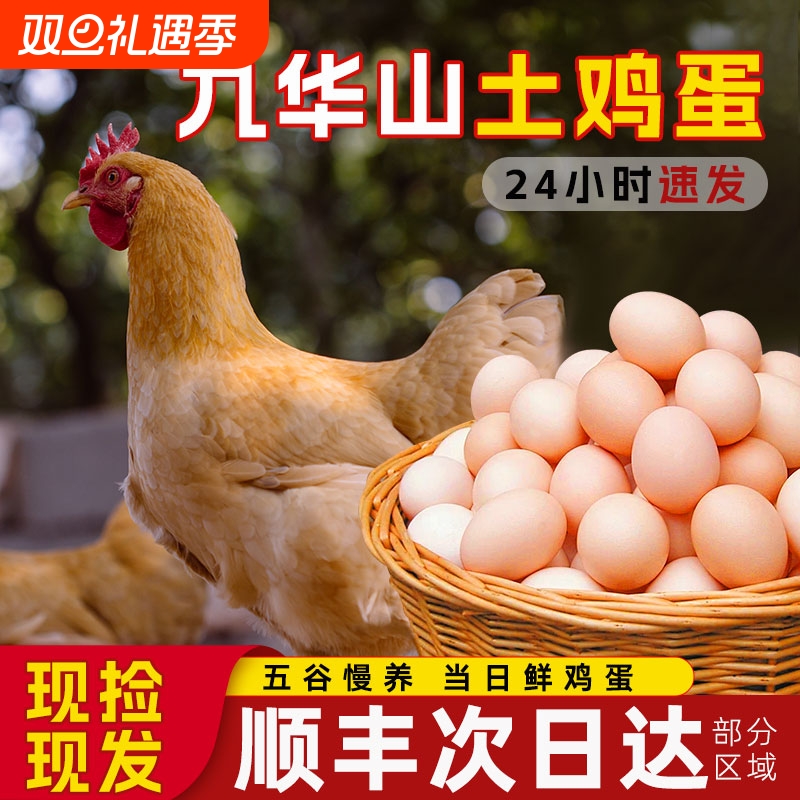 九华山土鸡蛋新鲜鸡蛋顺丰包邮