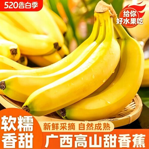 广西高山香蕉香甜软糯甜香蕉当季