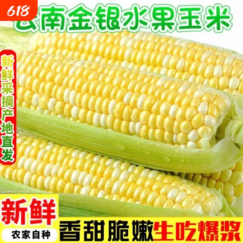 当季云南金银双色水果玉米新鲜甜嫩带壳大盒装甜玉米暴甜多汁精选