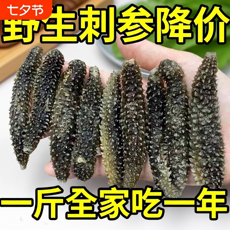 野生干货大连淡干纯淡海参非即食海参野生辽参非干货特价海生刺参