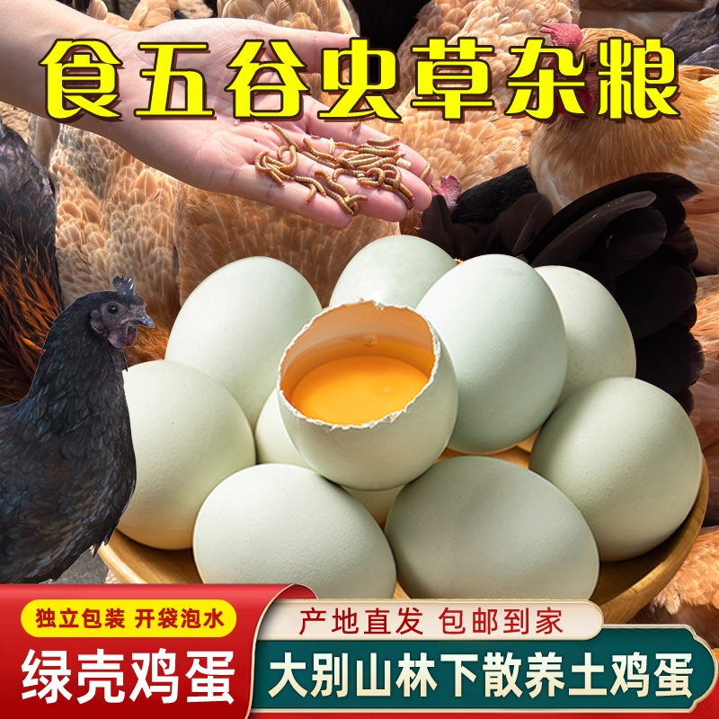 跑山鸡绿壳乌鸡蛋农家山林散养