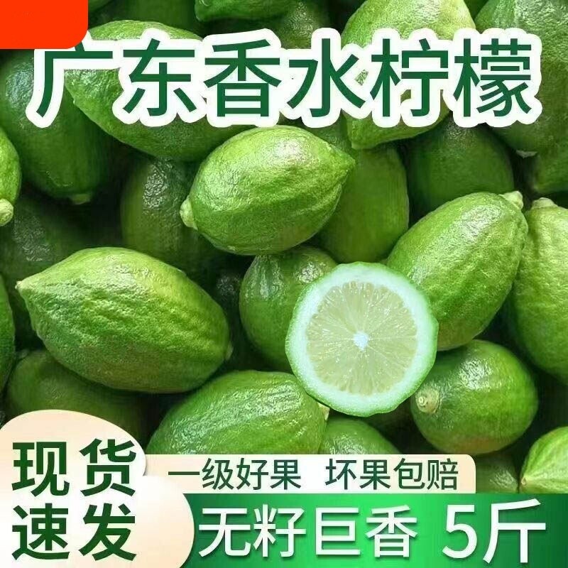 广东香水柠檬奶茶店专用一级果无籽商用手打柠檬茶青柠香柠檬