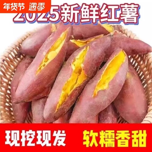 正宗蜜薯红薯龙九沙地红心现挖黄心番薯新鲜糖心地瓜板栗山芋批发