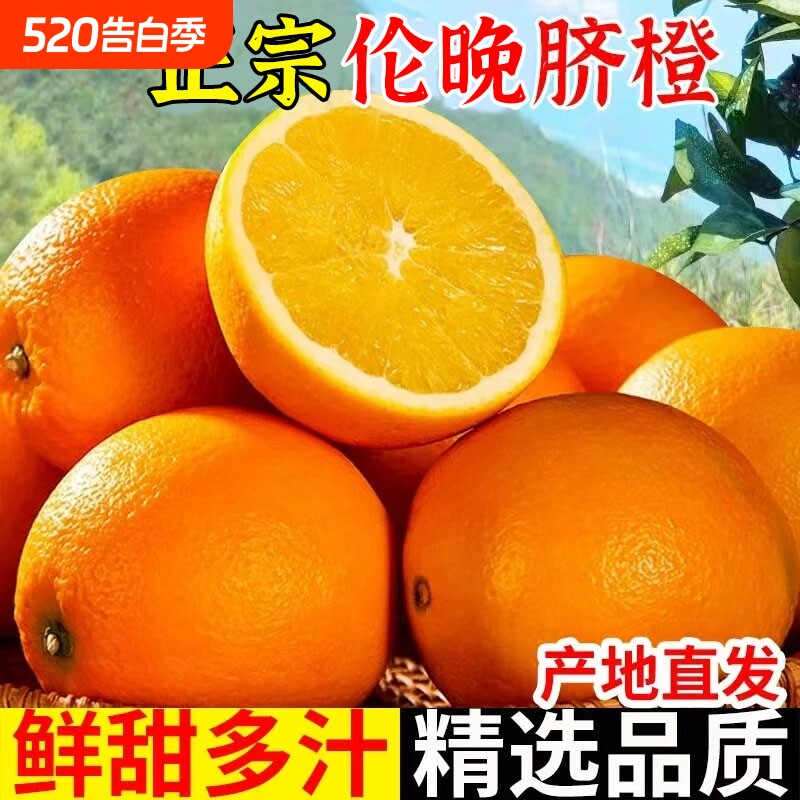 正宗伦晚脐橙湖北秭归脐橙新鲜橙子特级大果农场直发孕妇手剥橙