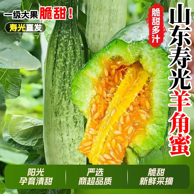 山东羊角蜜甜瓜当季新鲜水果脆甜蜜瓜香瓜时令羊角脆产地直发