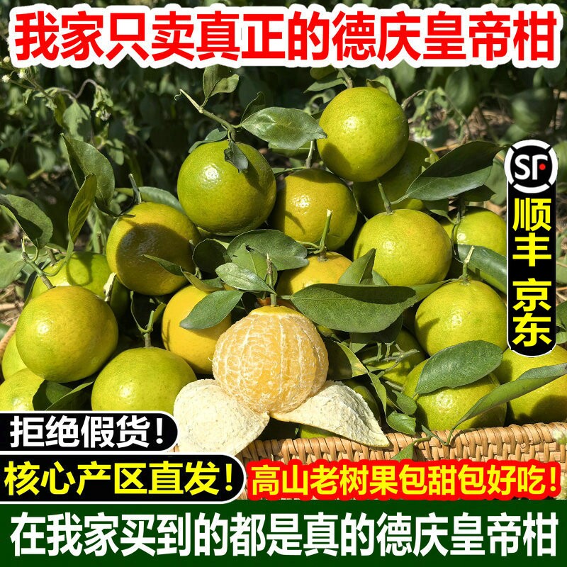 【顺丰 京东】广东德庆皇帝柑正宗贡柑10斤现摘水果新鲜橘子包邮,水产肉类/新鲜蔬果/熟食,桔子,淘宝优惠券,粉丝福利购,淘宝优惠卷