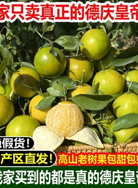 【顺丰 京东】广东德庆皇帝柑正宗贡柑10斤现摘水果新鲜橘子包邮