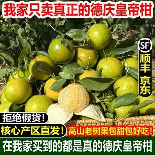 【顺丰 京东】广东德庆皇帝柑正宗贡柑10斤现摘水果新鲜橘子包邮