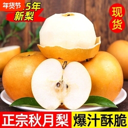 12.35亓正宗秋月梨4.5斤净含量