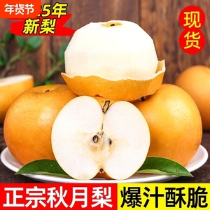 12.35亓正宗秋月梨4.5斤净含量