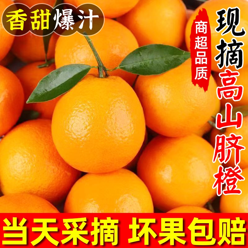 正宗湖南纽荷尔脐橙子新鲜水果非江西赣州赣南5/9斤当季大果爆汁