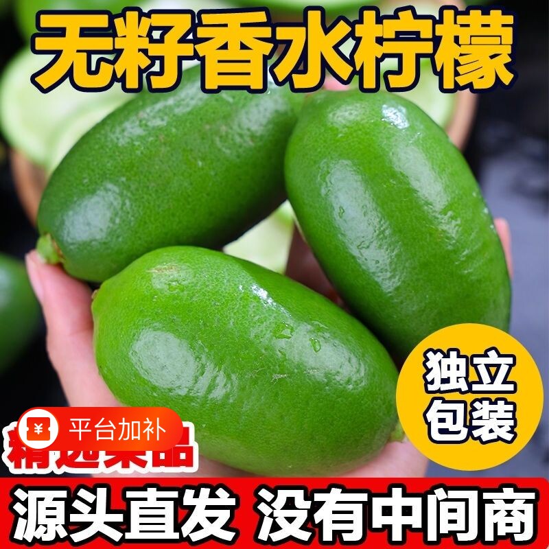 海南无籽香水柠檬新鲜青柠檬子弹头柠檬现摘水果奶茶店专用批发