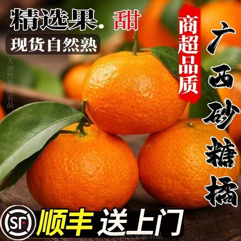 现发沙糖桔当季新鲜水果无核小砂糖橘子薄皮顺丰包邮送货年货节,水产肉类/新鲜蔬果/熟食,桔子,淘宝优惠券,粉丝福利购,淘宝优惠卷