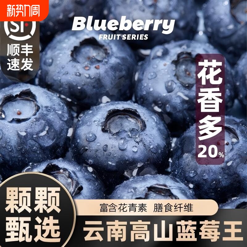 云南花香蓝莓新鲜果高山当季水果l25整箱特大果产地直发顺丰包邮