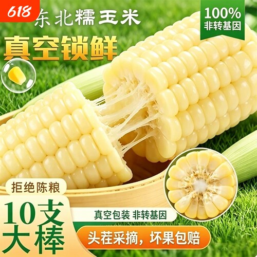 白糯玉米甜糯东北新鲜白糯玉米真空装加热即食新鲜玉米棒代餐粗粮