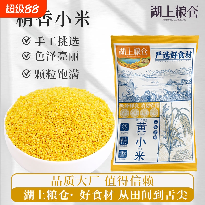 当季新货东北黄小米米油丰厚一斤