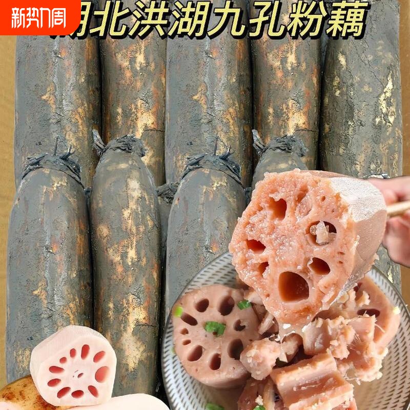正宗洪湖粉藕现挖莲藕煲汤炖汤新鲜糖藕糯米藕九孔藕红藕粉糯香甜