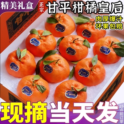 正宗四川甘平柑橘皇后新鲜水果当季现摘耙耙小金牛桔子砂糖蜜桔甜