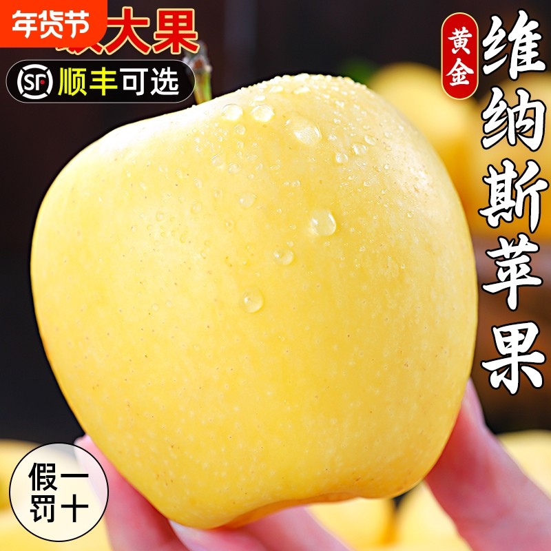 山东烟台黄金维纳斯苹果新鲜水果正宗当季奶油红富士金帅冰糖心甜,水产肉类/新鲜蔬果/熟食,苹果,淘宝优惠券,粉丝福利购,淘宝优惠卷