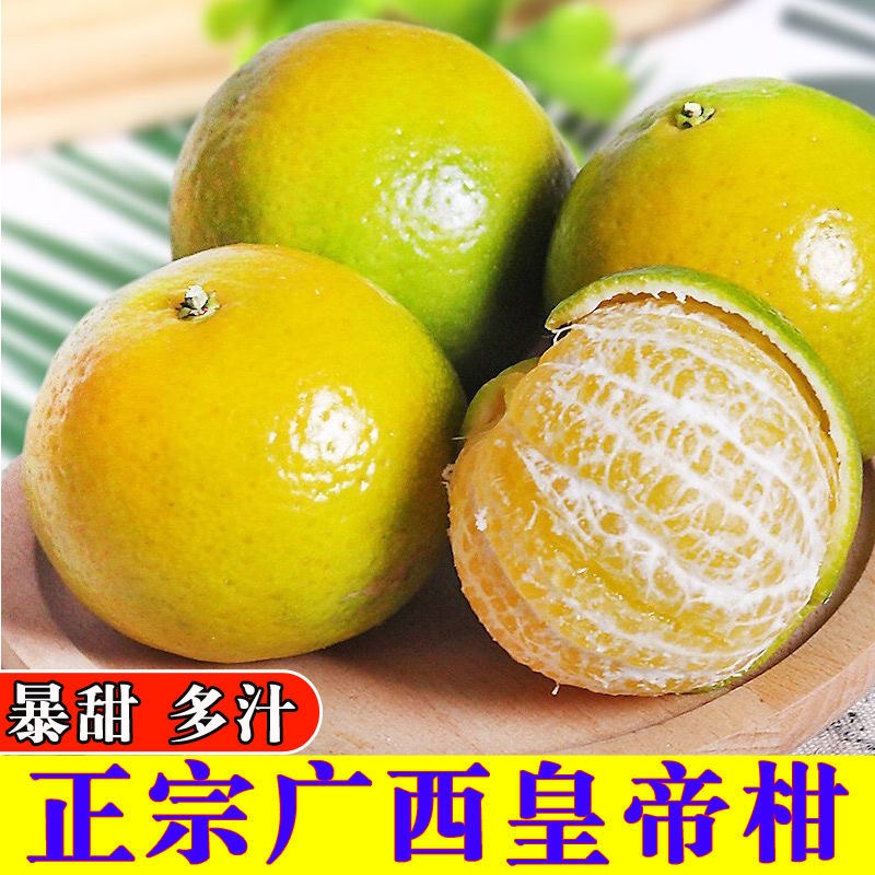 当季正宗大果皇帝柑新鲜整箱