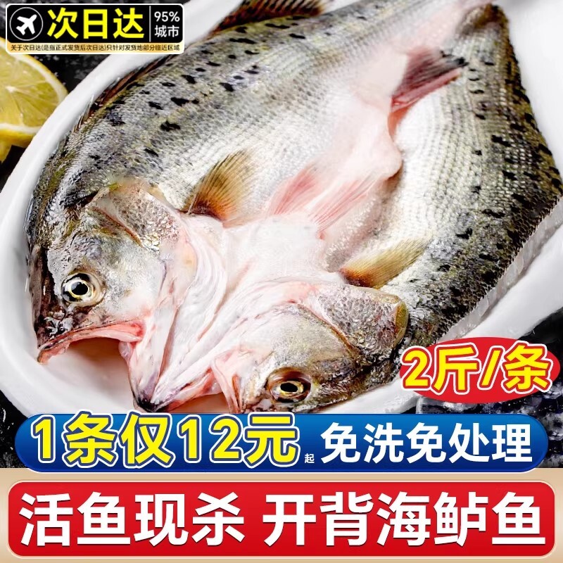 海鲈鱼开背新鲜冷冻鲜活深海鲈鱼白蕉七星水产烤鱼半成品商用淡水