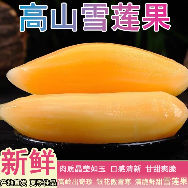 云南天山雪莲果新鲜水果当季应季红心特级8.5斤装大果包邮热带
