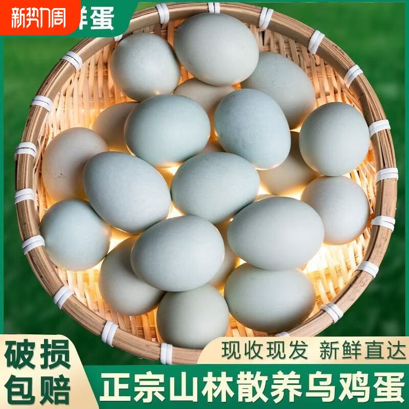 新鲜乌鸡蛋宝宝孕妇蛋月子蛋农家散养绿壳蛋土鸡蛋优质鸡蛋现捡