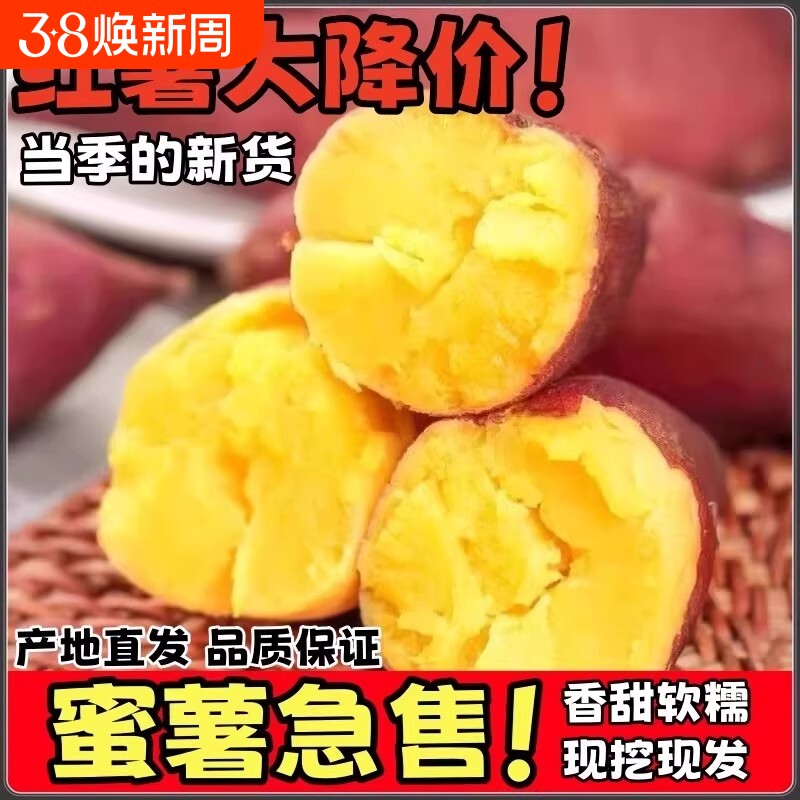 新鲜龙九蜜薯9斤板栗红薯农家自种非沙地红心番薯地瓜当季软糯