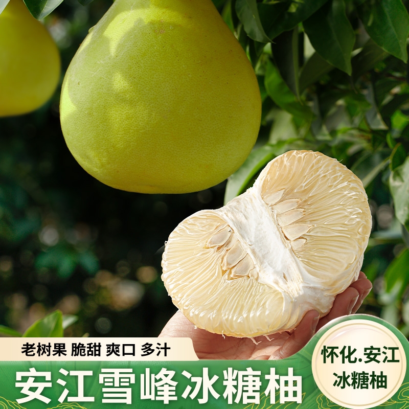 柚子药柚带箱新鲜|千人回购