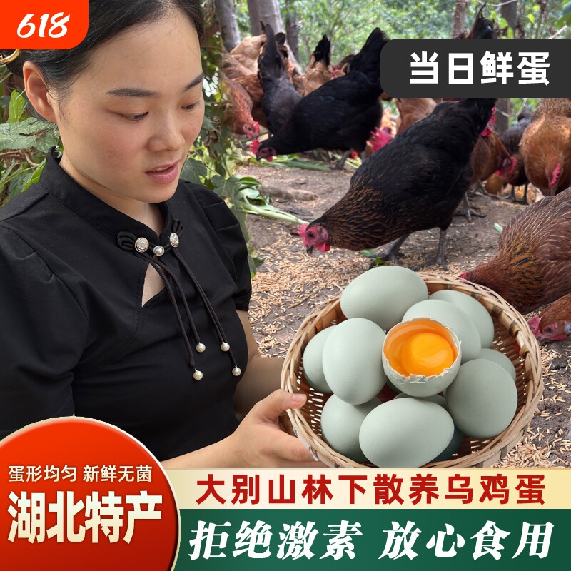 绿壳乌鸡蛋散养土鸡蛋20枚大别山绿色儿童营养早餐谷物蛋新鲜农场