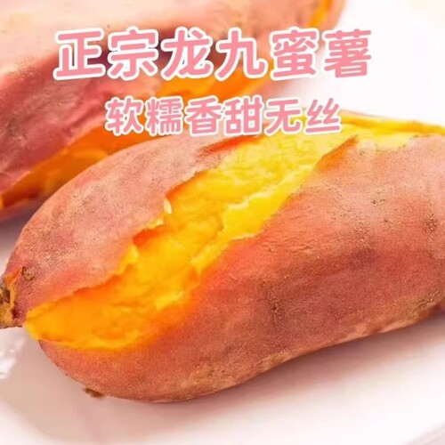 红薯河南开封农家老式品种黄心新鲜现挖沙地龙九番薯蜜薯