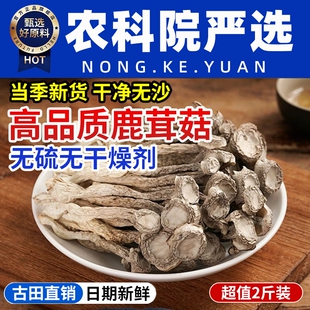 鹿茸菇正品官方旗舰店干货特级福建古田特产香菇蘑菇新鲜脆菇菌菇