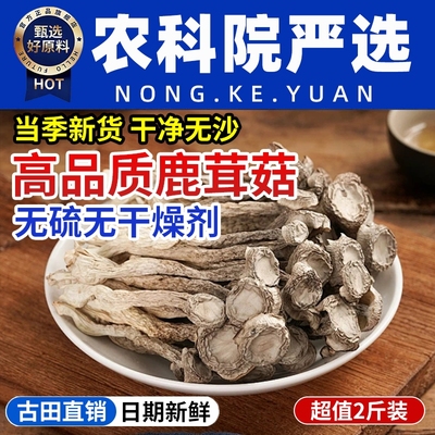 鹿茸菇干货特级正品官方旗舰店福建古田特产香菇蘑菇新鲜脆菇菌菇