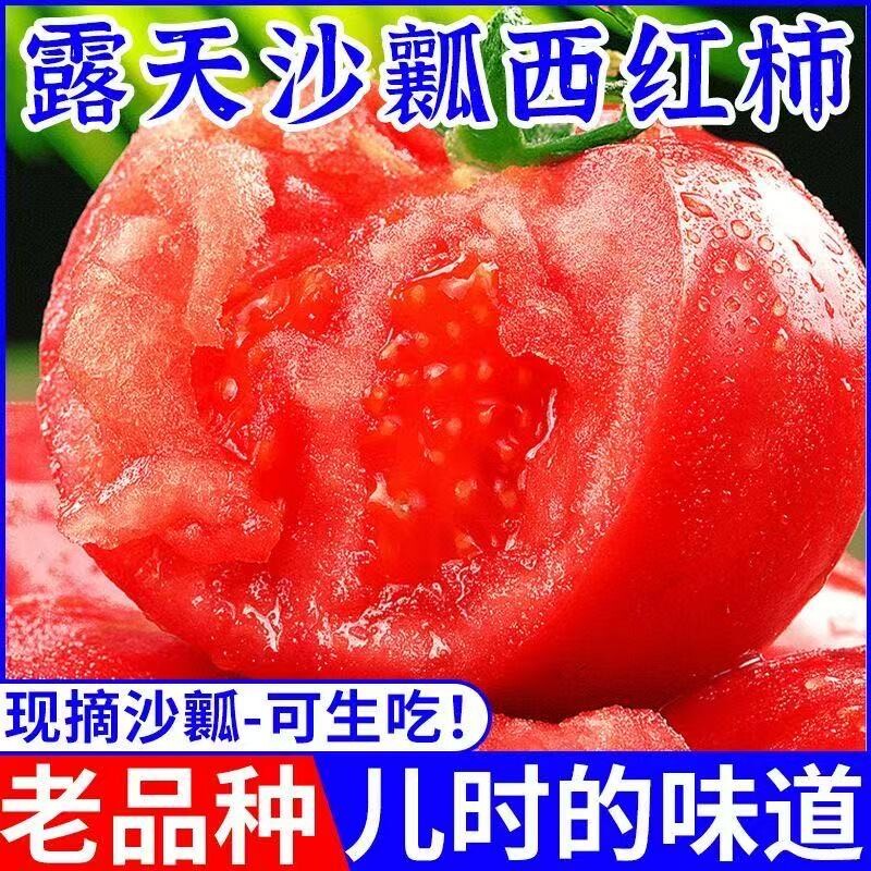云南新鲜沙瓤西红柿自然成熟现摘水果番茄生吃孕妇柿子批发整箱