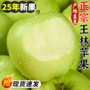 正宗王林苹果新鲜水果当季 整箱现摘水果脆甜雀斑青苹果青森丑苹果