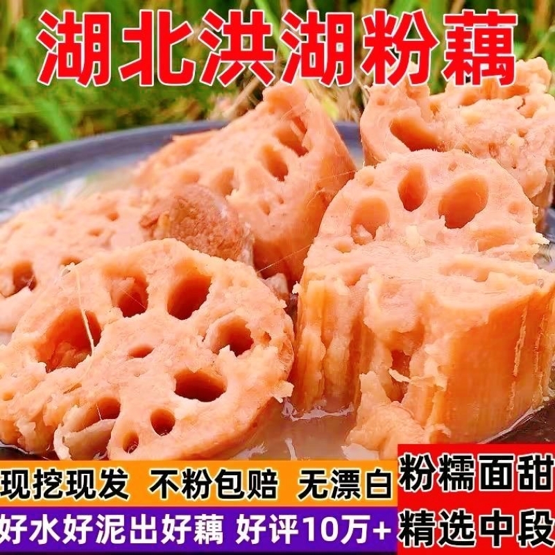 洪湖粉藕湖北正宗粉糯莲藕新鲜炖汤加热即食九孔糯米藕营养可煲汤