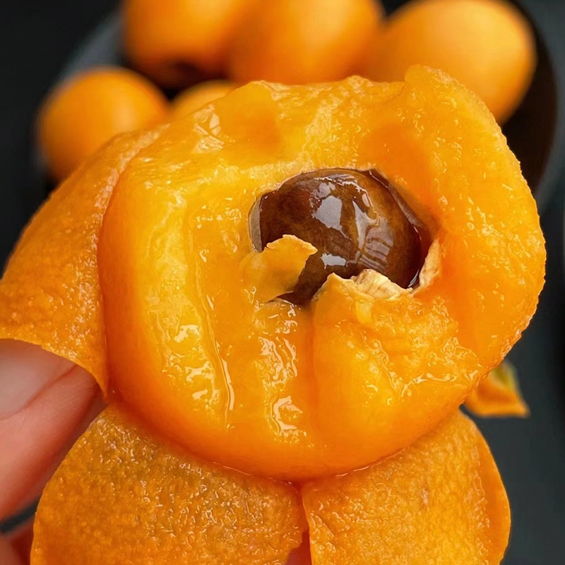 正宗枇杷新鲜云南蒙自鲜果琵琶当季新鲜水果枇杷现摘树上熟整箱