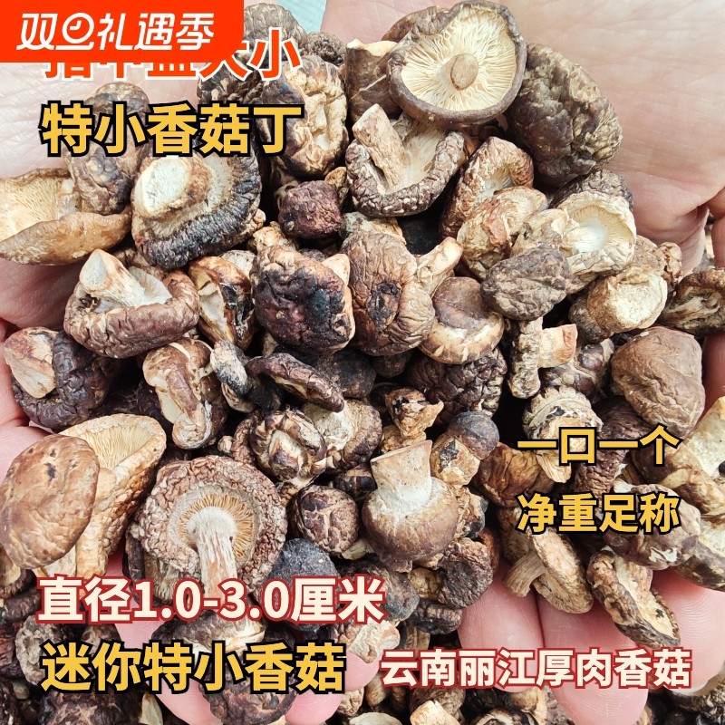 特小香菇干货迷你小香姑丁小蘑菇农家干香菇云南丽江厚肉香菇净重