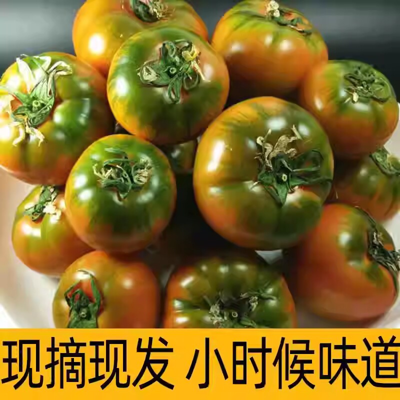 顺丰铁皮柿子丹东自然草莓西红柿水果酸甜自家种生吃现摘包邮整箱