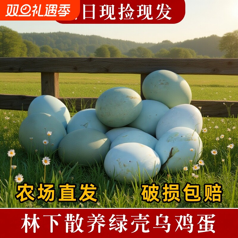 绿壳土鸡蛋乌鸡蛋正宗谷物散养