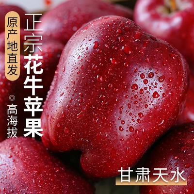 甘肃天水花牛苹果新鲜水果当季正宗平果粉面丑果孕妇整箱包邮精品