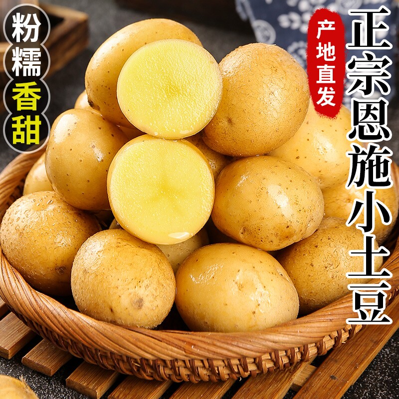 2025年高山新鲜现挖黄心土豆农家洋芋当季粉糯时令蔬菜自种富硒