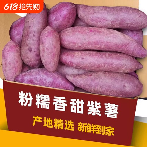 现挖紫薯5斤新鲜番薯地瓜