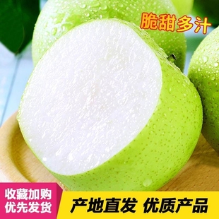 青皇冠梨新鲜水果梨子雪梨当季整箱应季特大甜脆水分充足农场