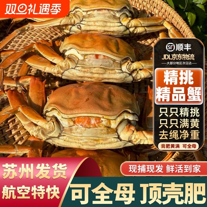 精品蟹只只满黄大闸蟹鲜活螃蟹全母超特大河蟹10只礼盒苏州发水产