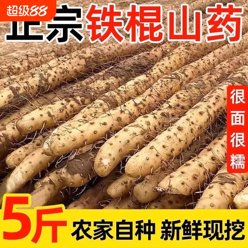 河北铁棍山药小白嘴山药新鲜山药淮山药产地直发新鲜粉糯5斤包邮
