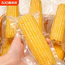 绿色有机五寨玉米三小时锁鲜