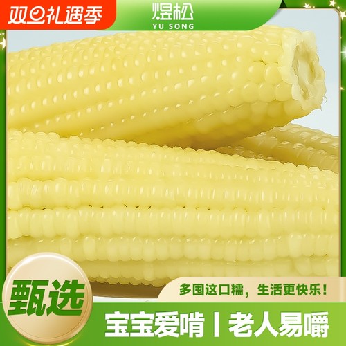 东北 新鲜白糯玉米10支低脂代餐真空包装粗粮代餐