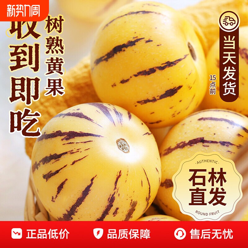 人参果黄肉圆果石林特产树上熟现摘水果人生果新鲜孕妇当季整箱