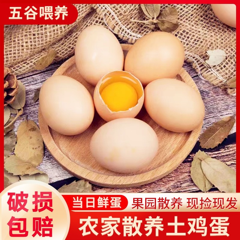 农家鸡蛋林下散养50枚鲜柴鸡蛋正宗土鸡蛋农村笨鸡蛋初生蛋包邮